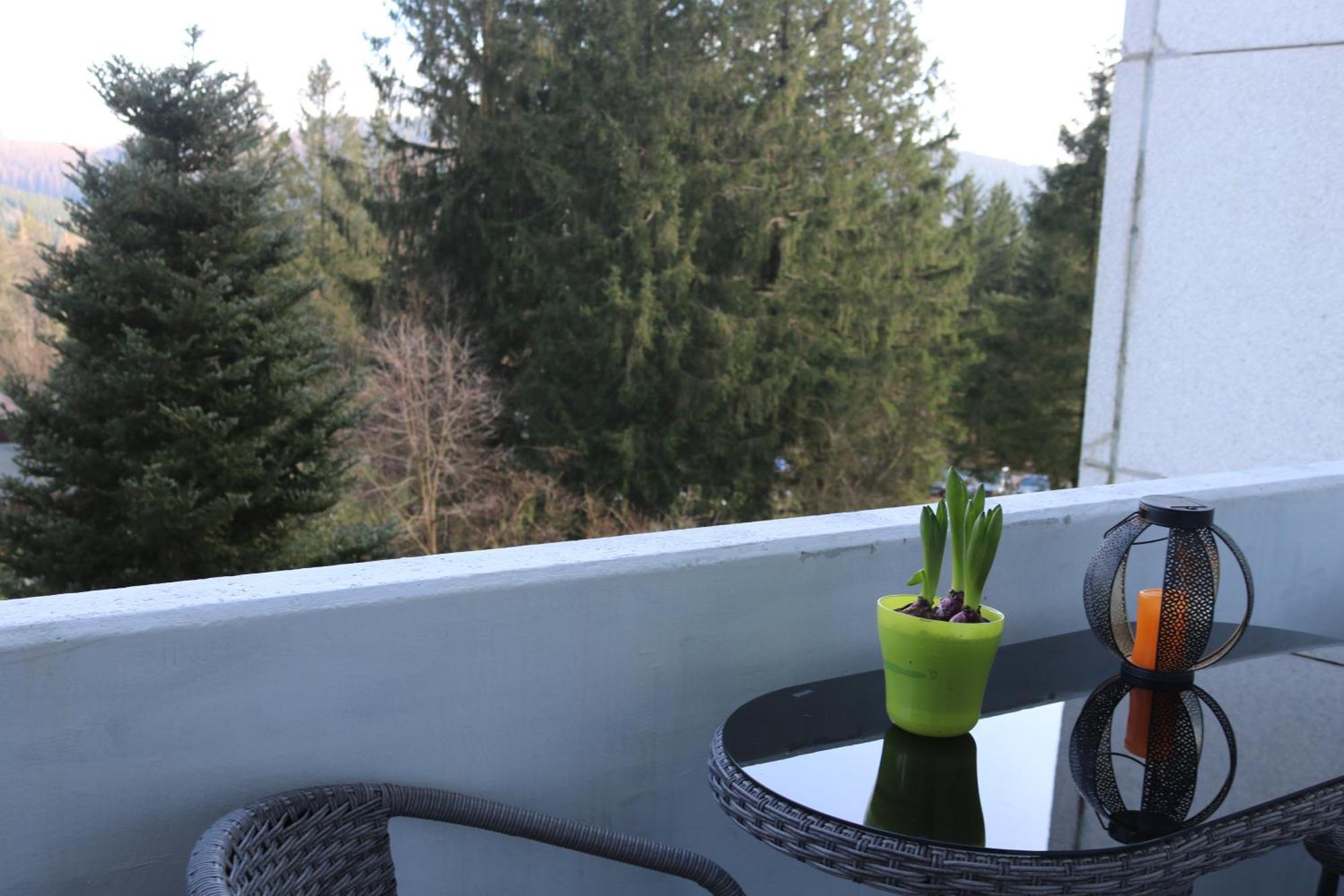 Natur Suite Goslar Buitenkant foto