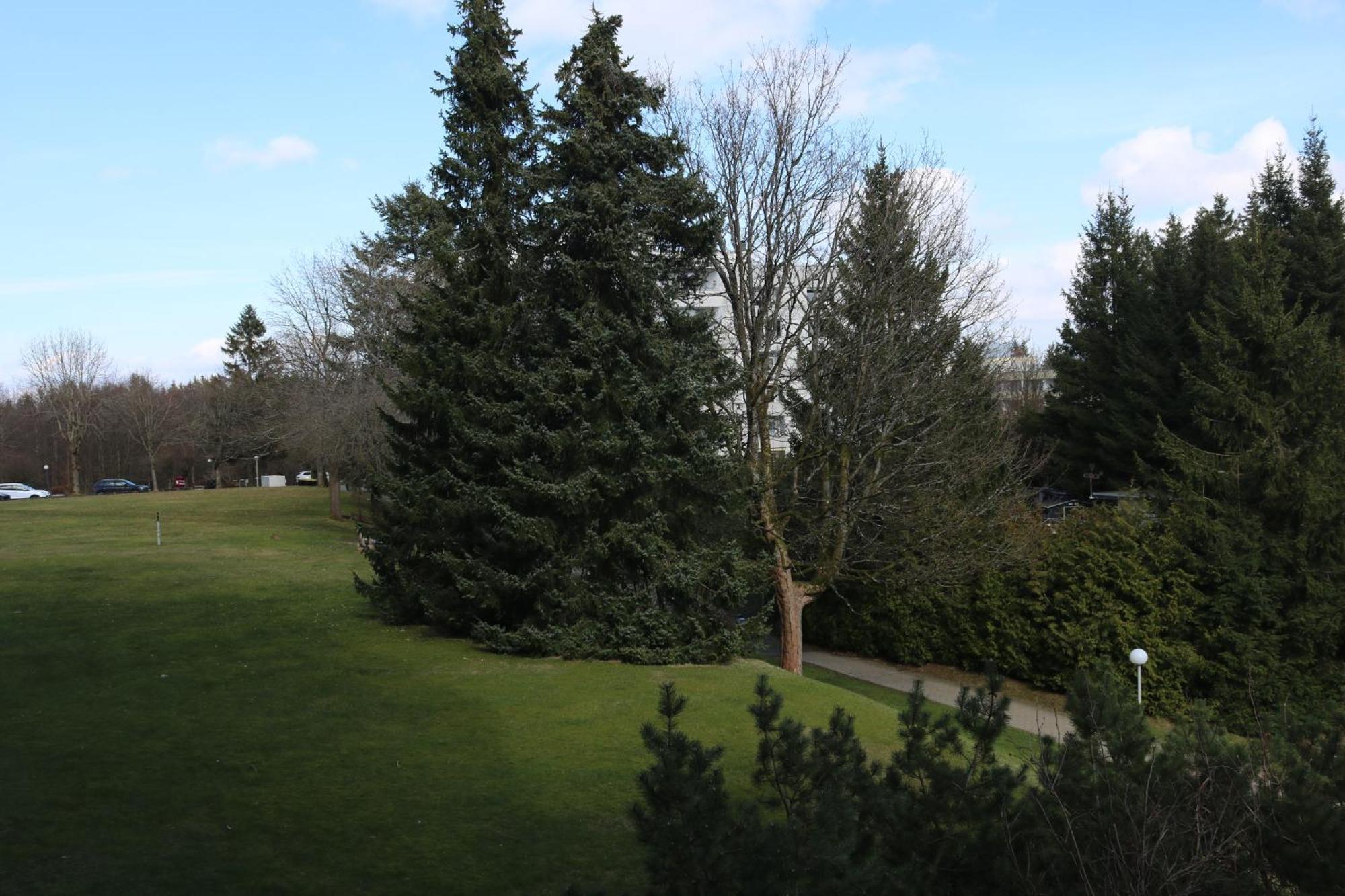 Natur Suite Goslar Buitenkant foto